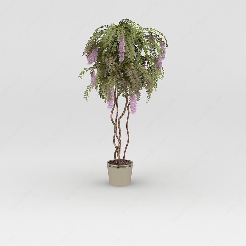 丁香树盆栽3D模型