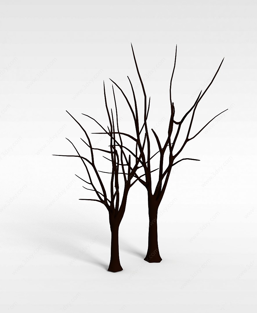 光秃秃的树3D模型
