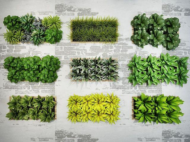 绿化植物墙组合3D模型