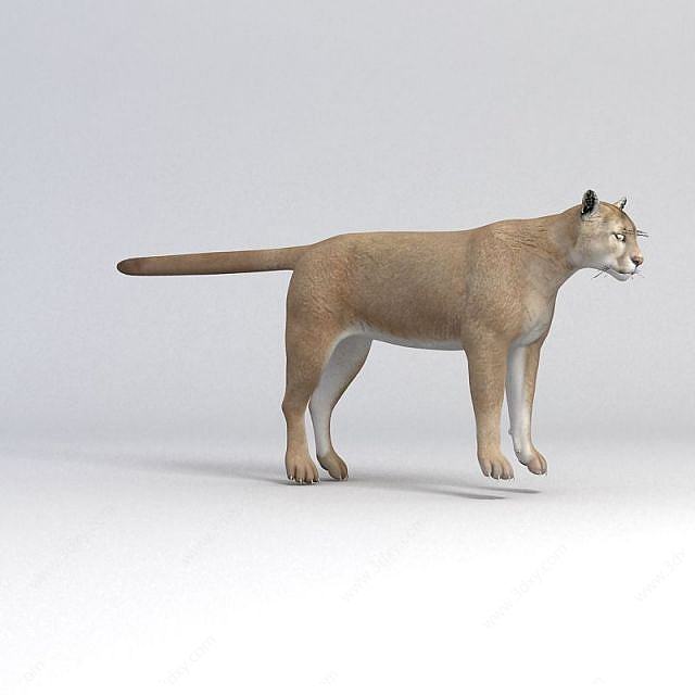 老虎3D模型