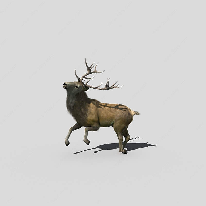 麋鹿3D模型