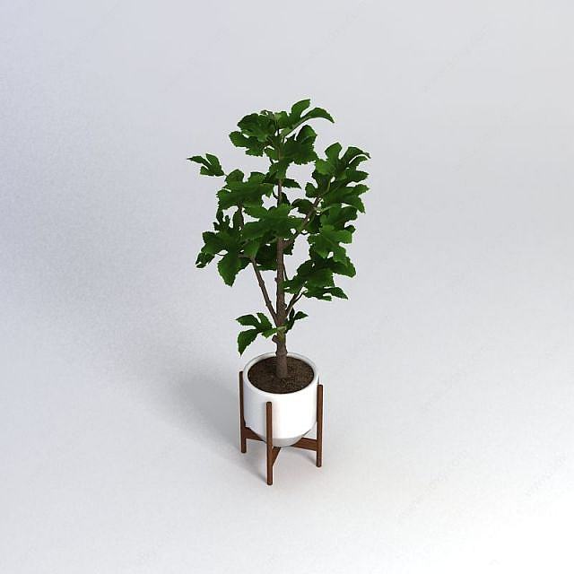 室内盆栽植物3D模型