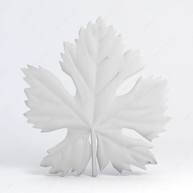 树叶3D模型