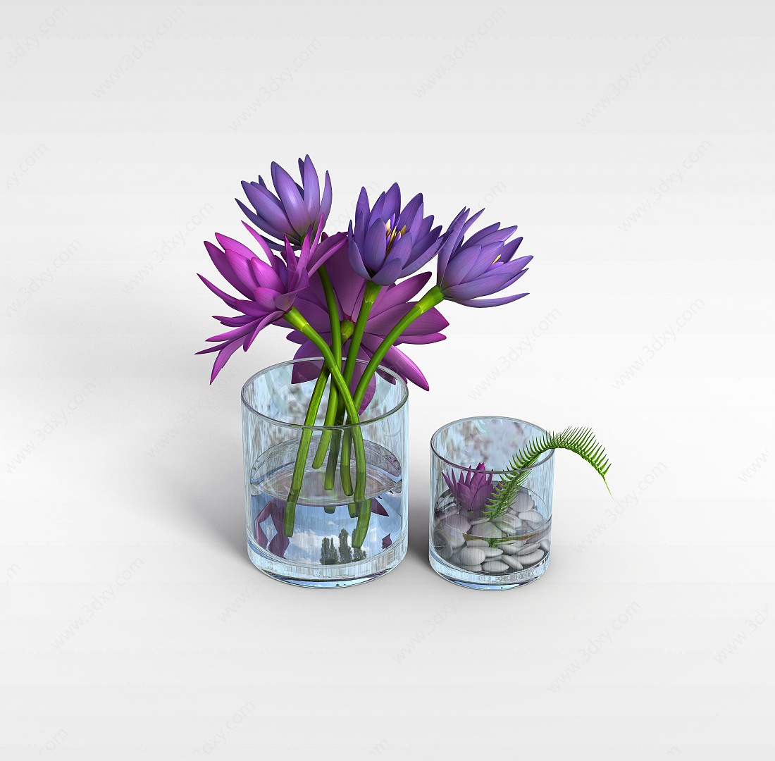 水养花卉3D模型