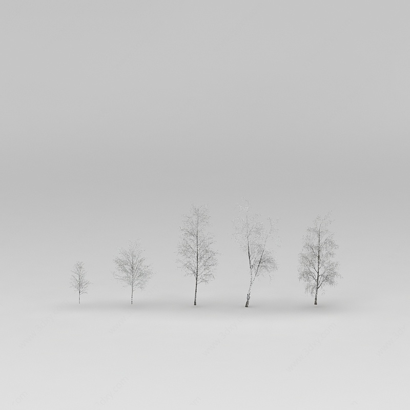 冬天的白桦树3D模型