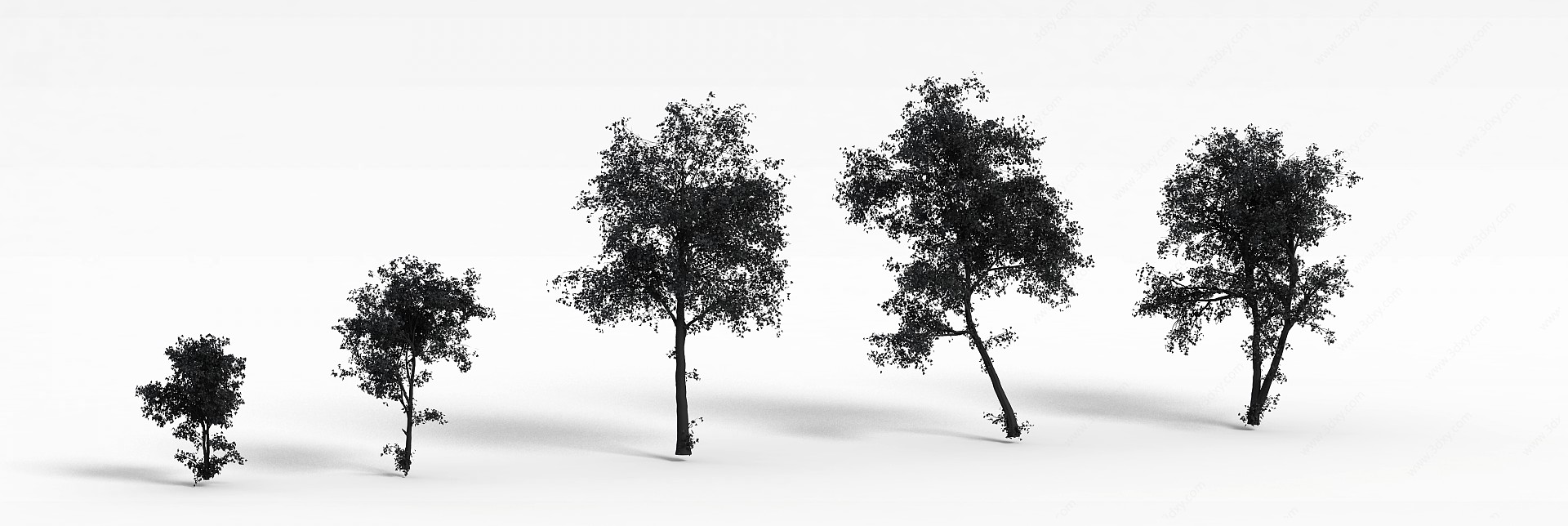 公园树木3D模型