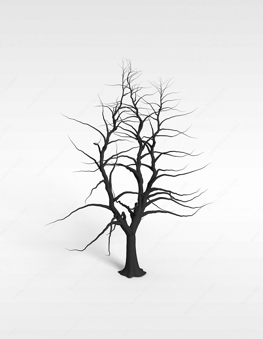 冬天的树3D模型