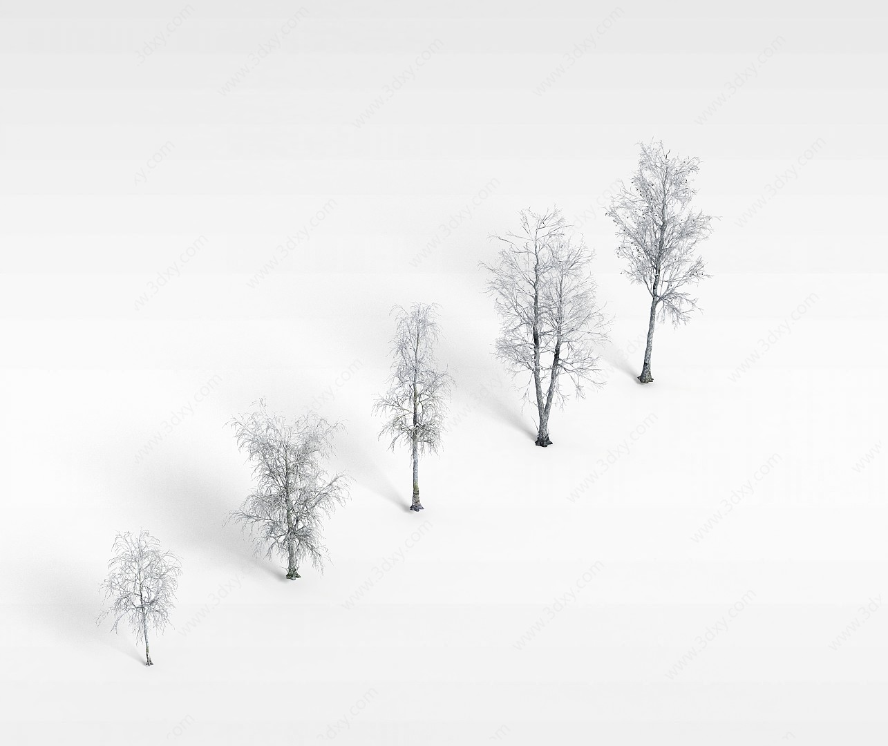 冬天杨树3D模型
