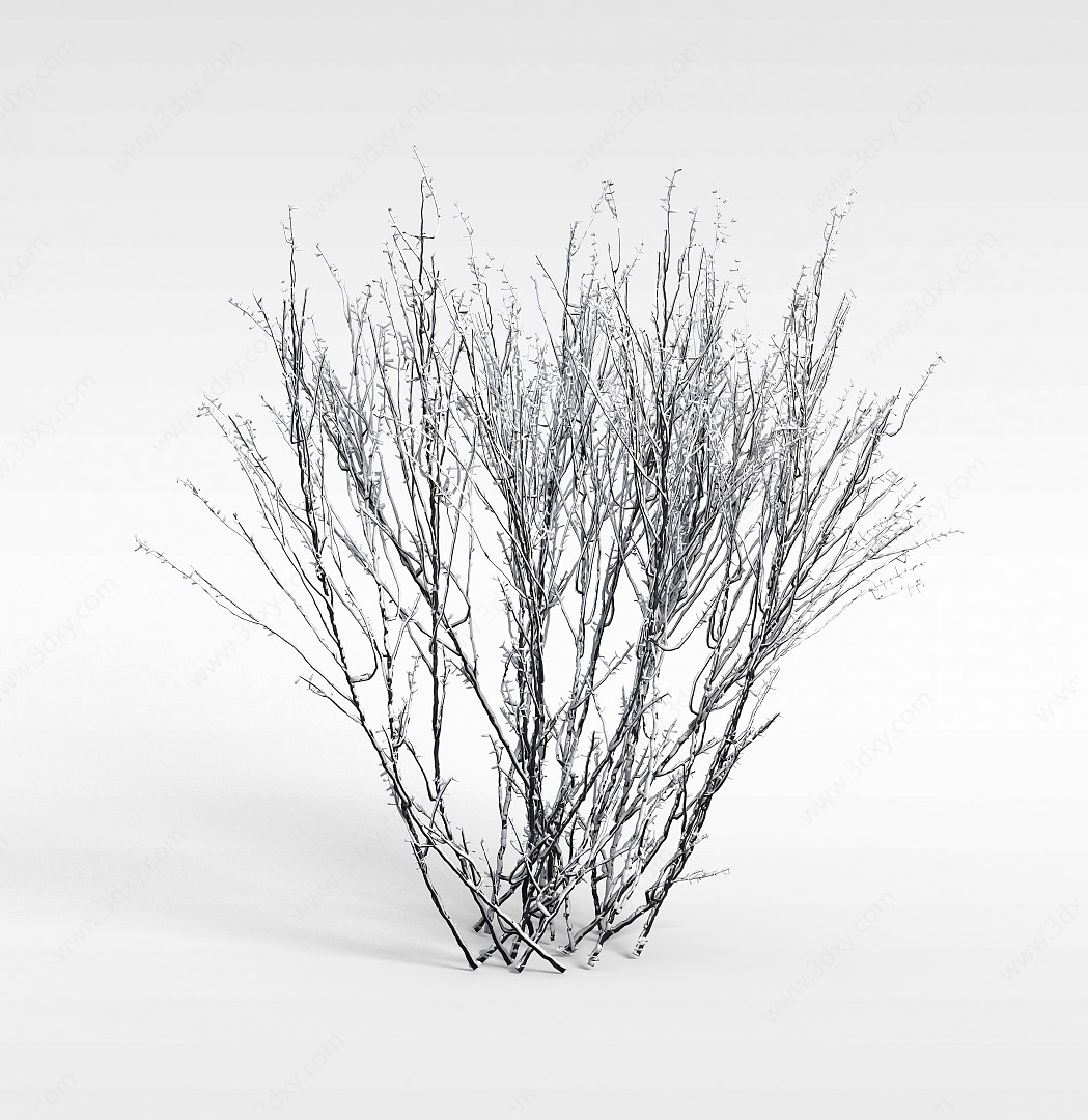 冬天的灌木3D模型
