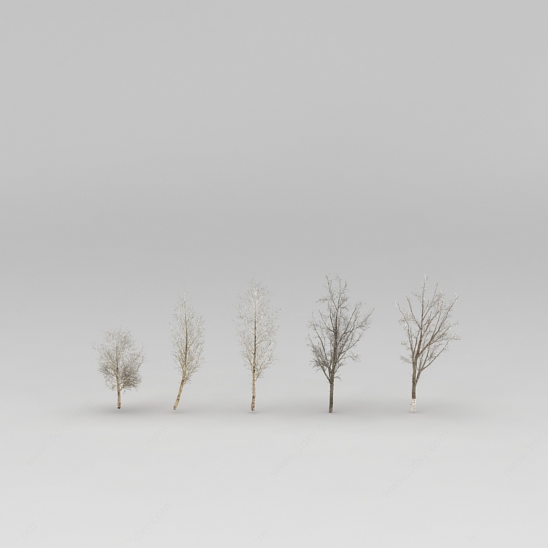 西北的树3D模型