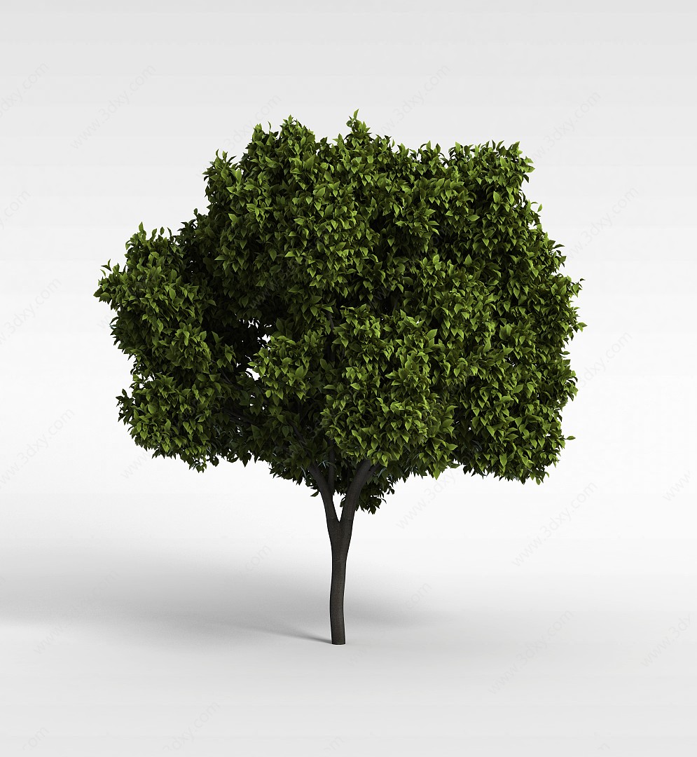 绿树3D模型