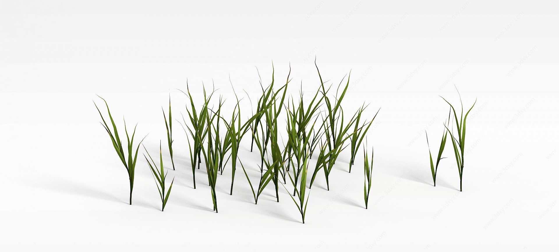 绿植草丛3D模型