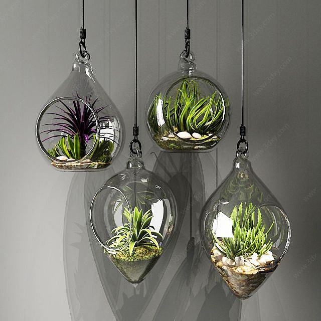 玻璃吊瓶植物3D模型