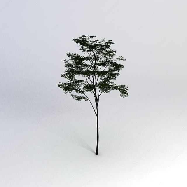 一棵树3D模型