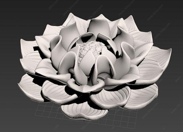 多肉花卉3D模型