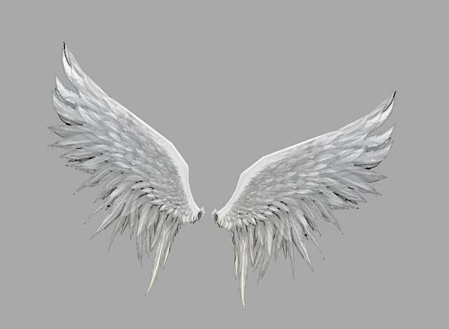 白色翅膀3D模型