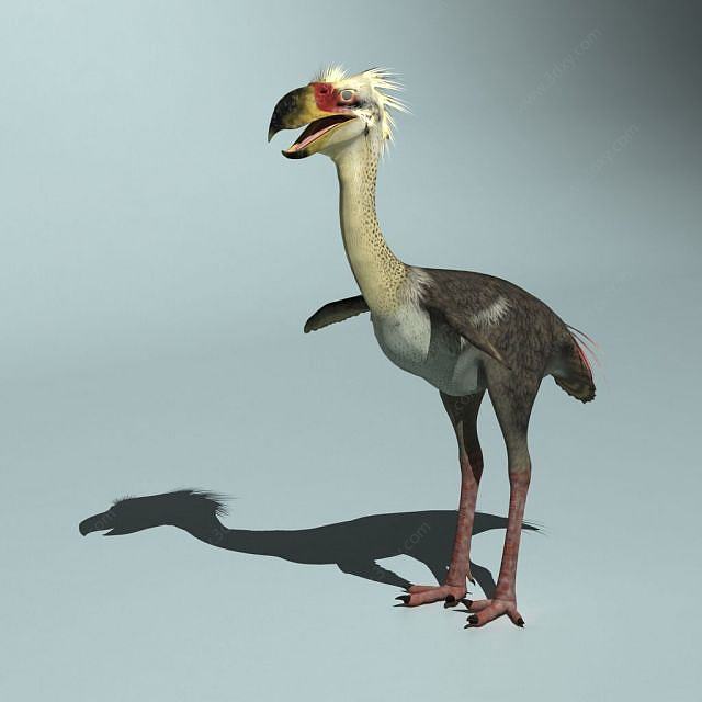 恐鹤恐龙3D模型