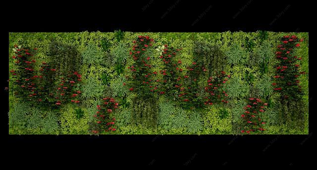 植物墙墙绿植墙景观墙3D模型