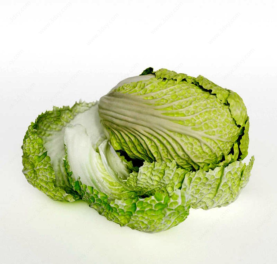 白菜3D模型