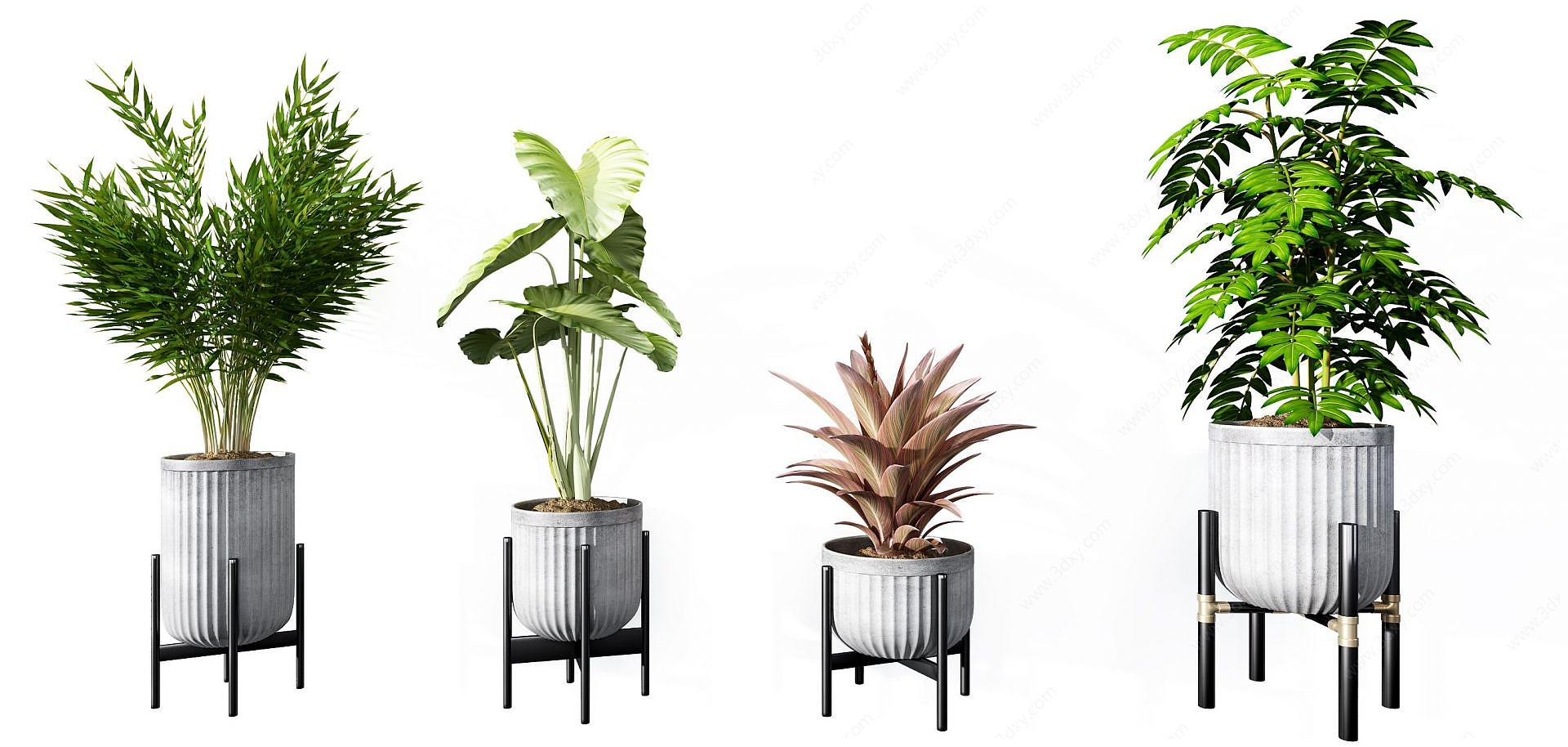 现代植物盆栽组合3D模型