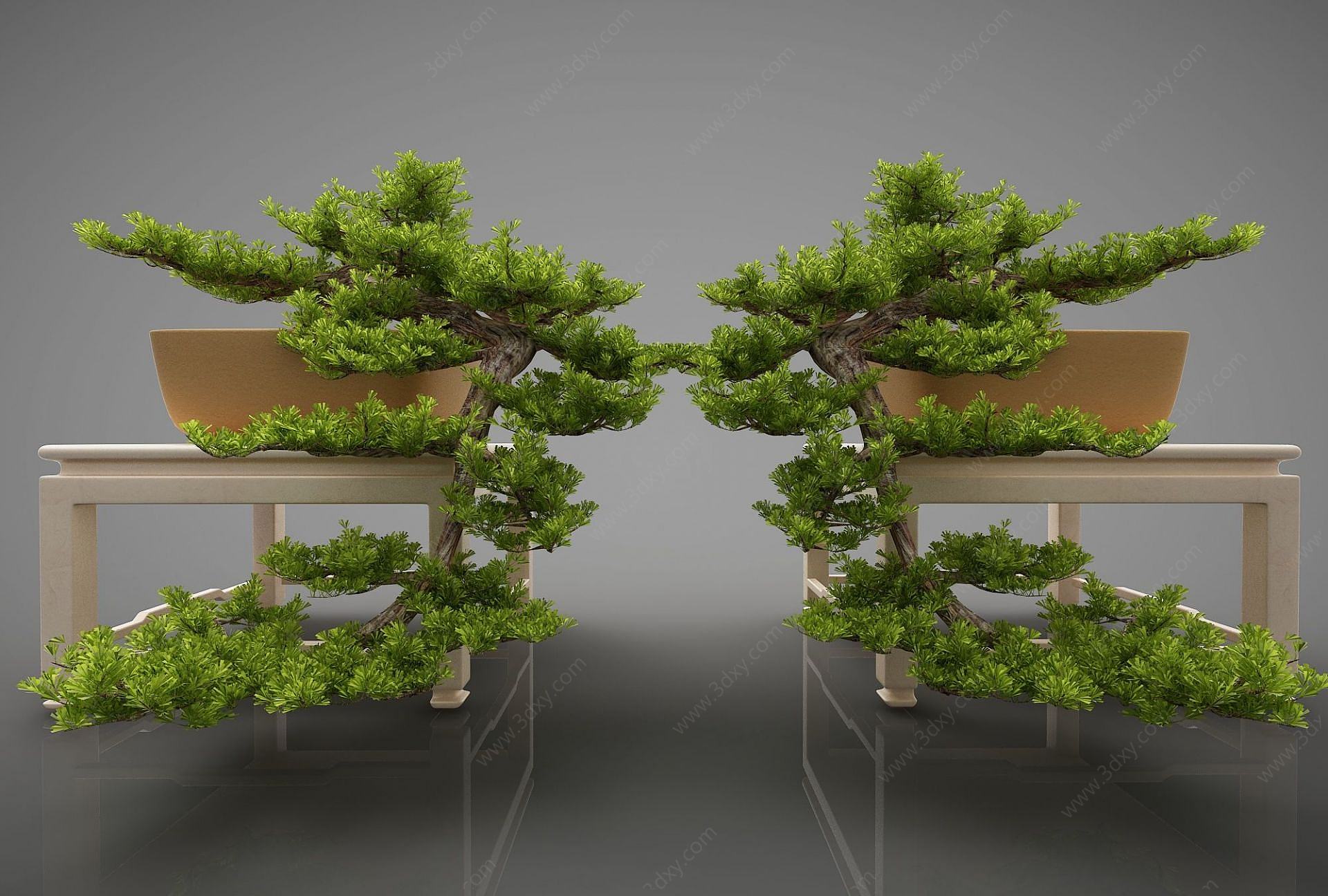 新中式风格盆栽盆景3D模型