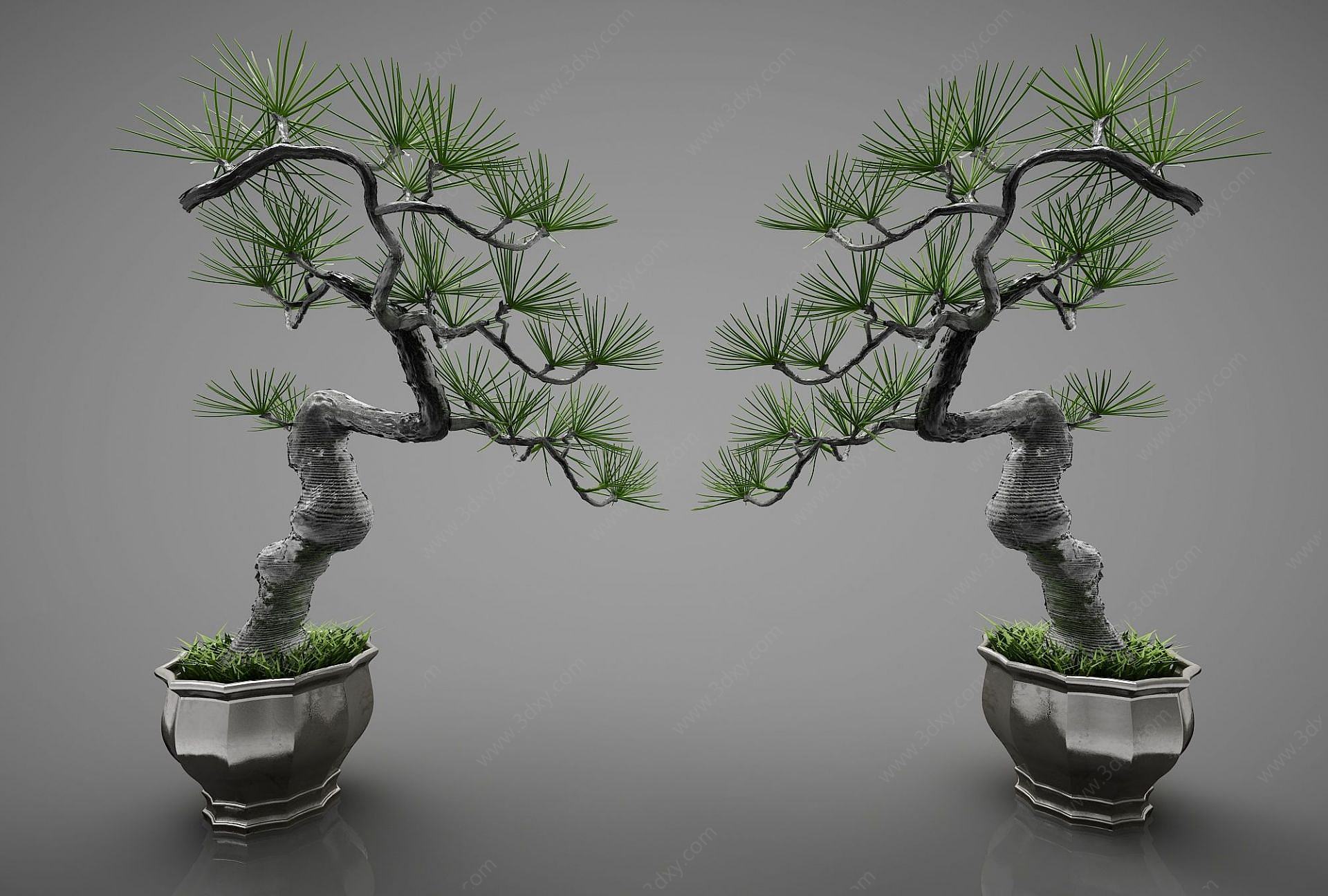 新中式盆栽盆景迎客松3D模型