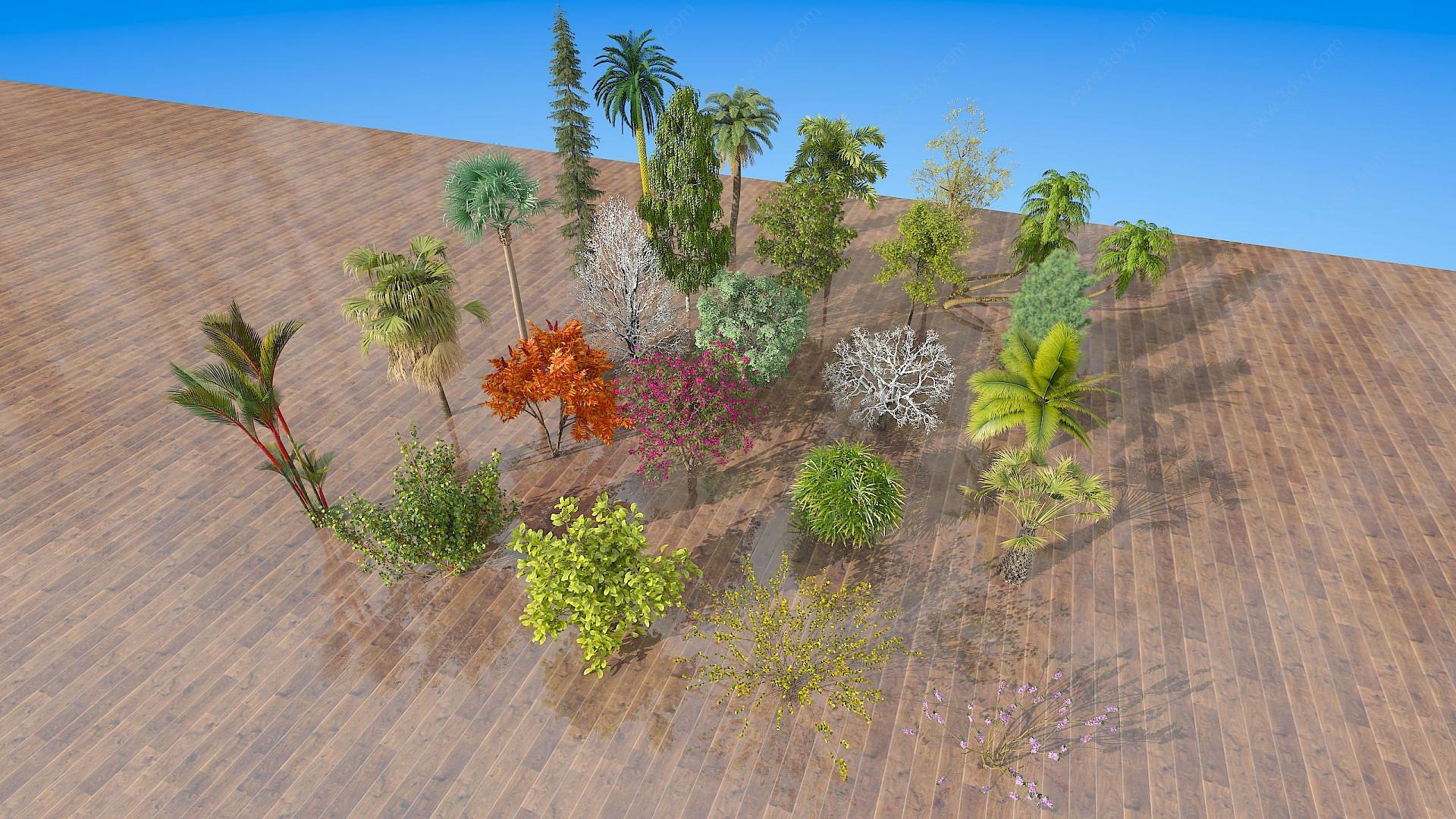 现代室外树木绿植3D模型