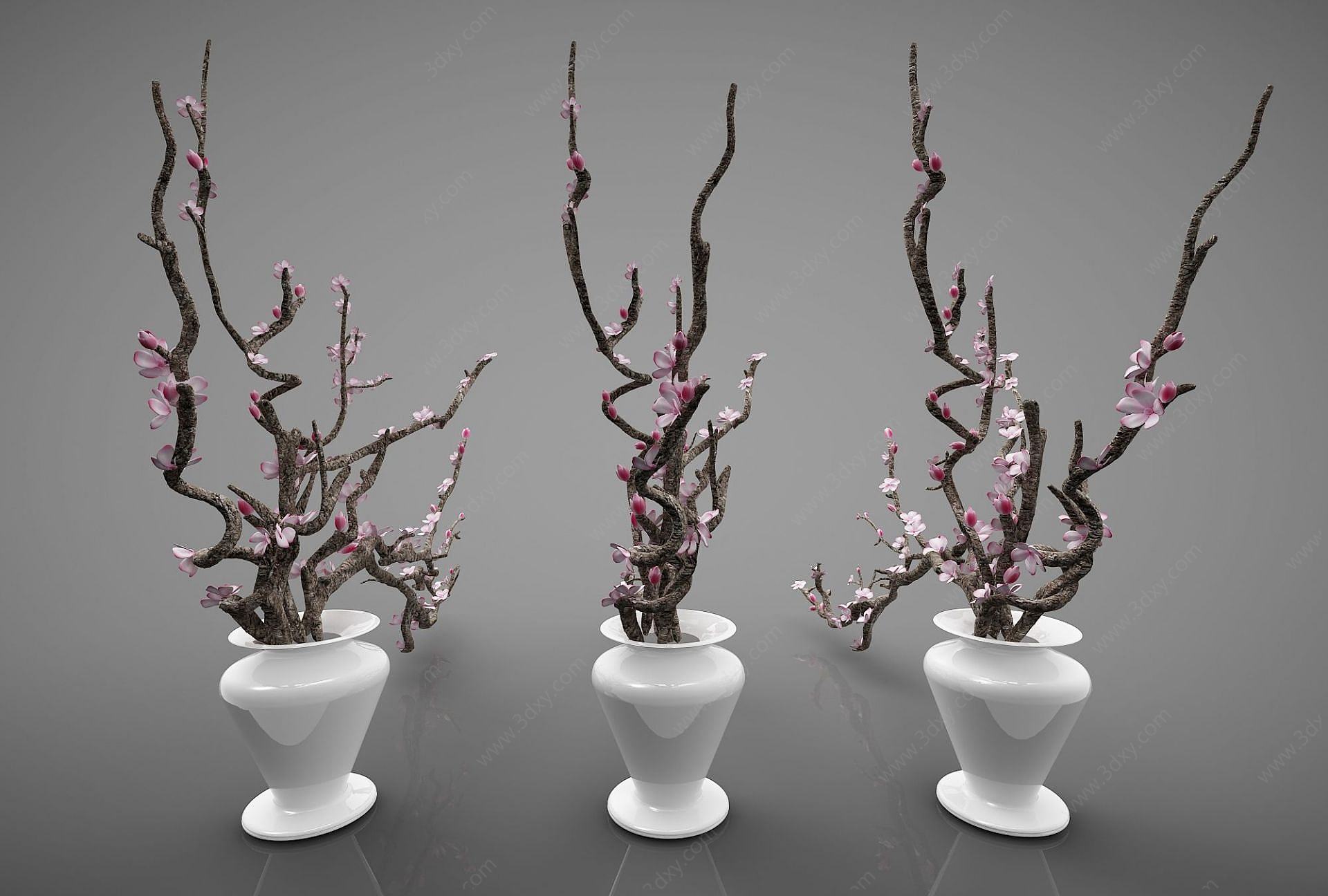 植物摆件组合3D模型