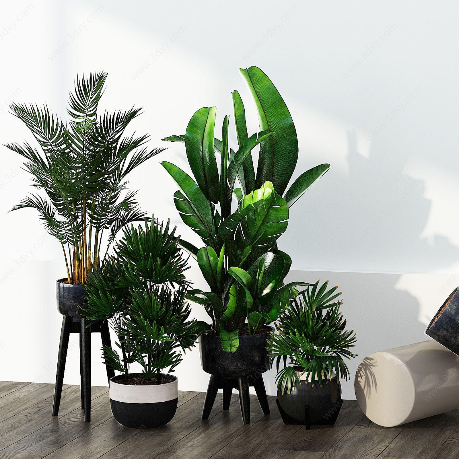 现代木桩盆栽绿植组合3D模型