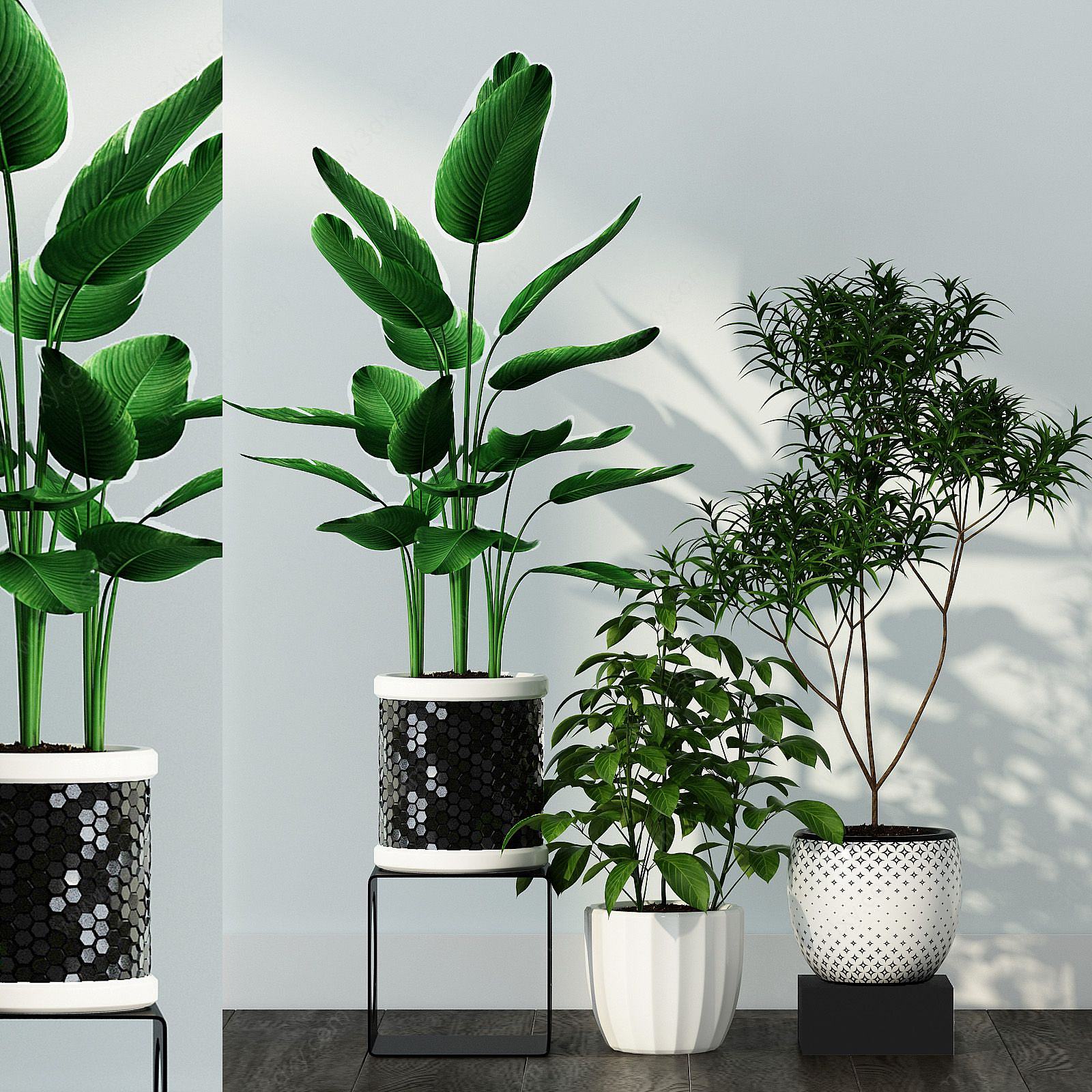 绿植盆栽组合3D模型