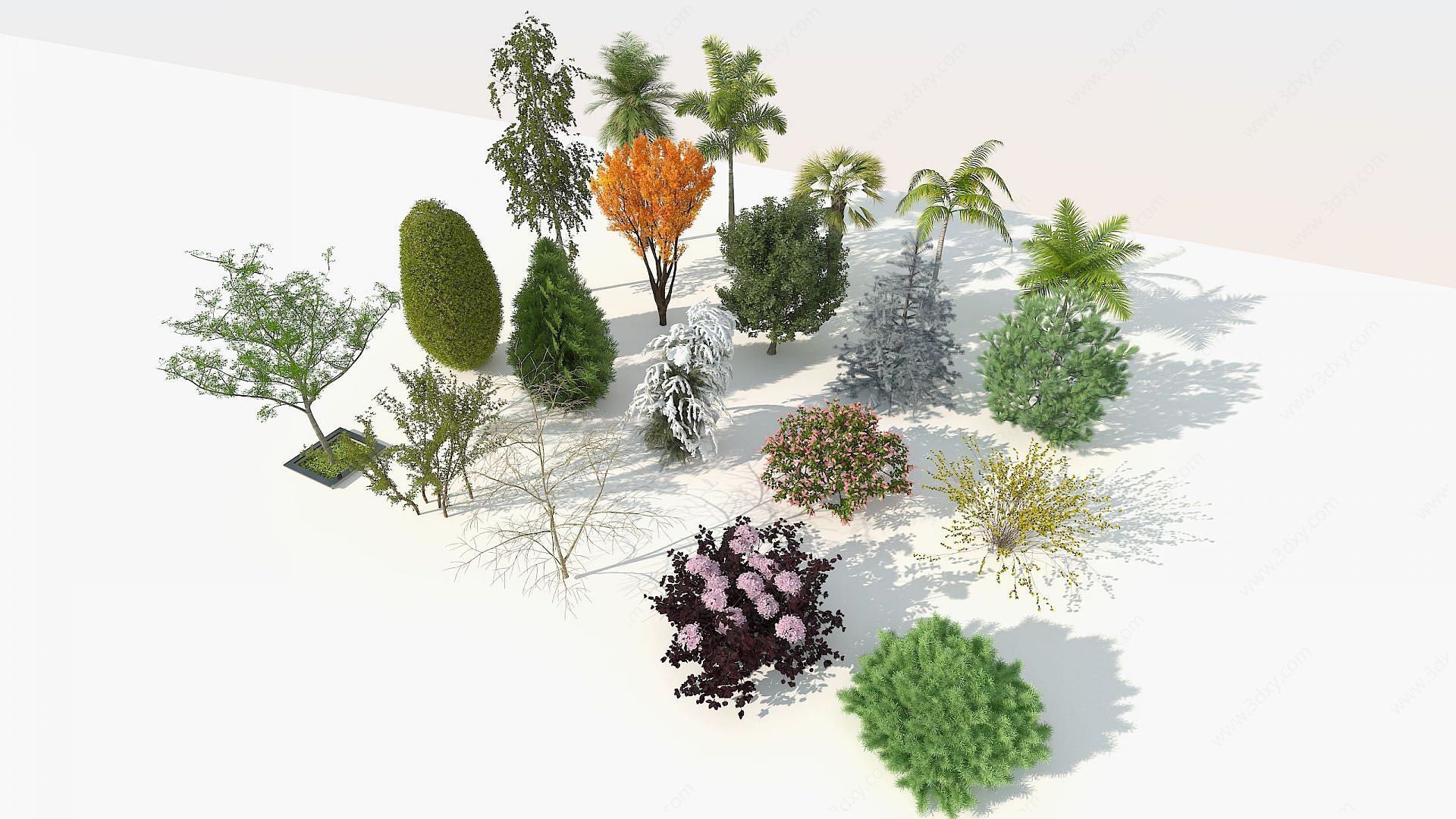 园林树木组合3D模型