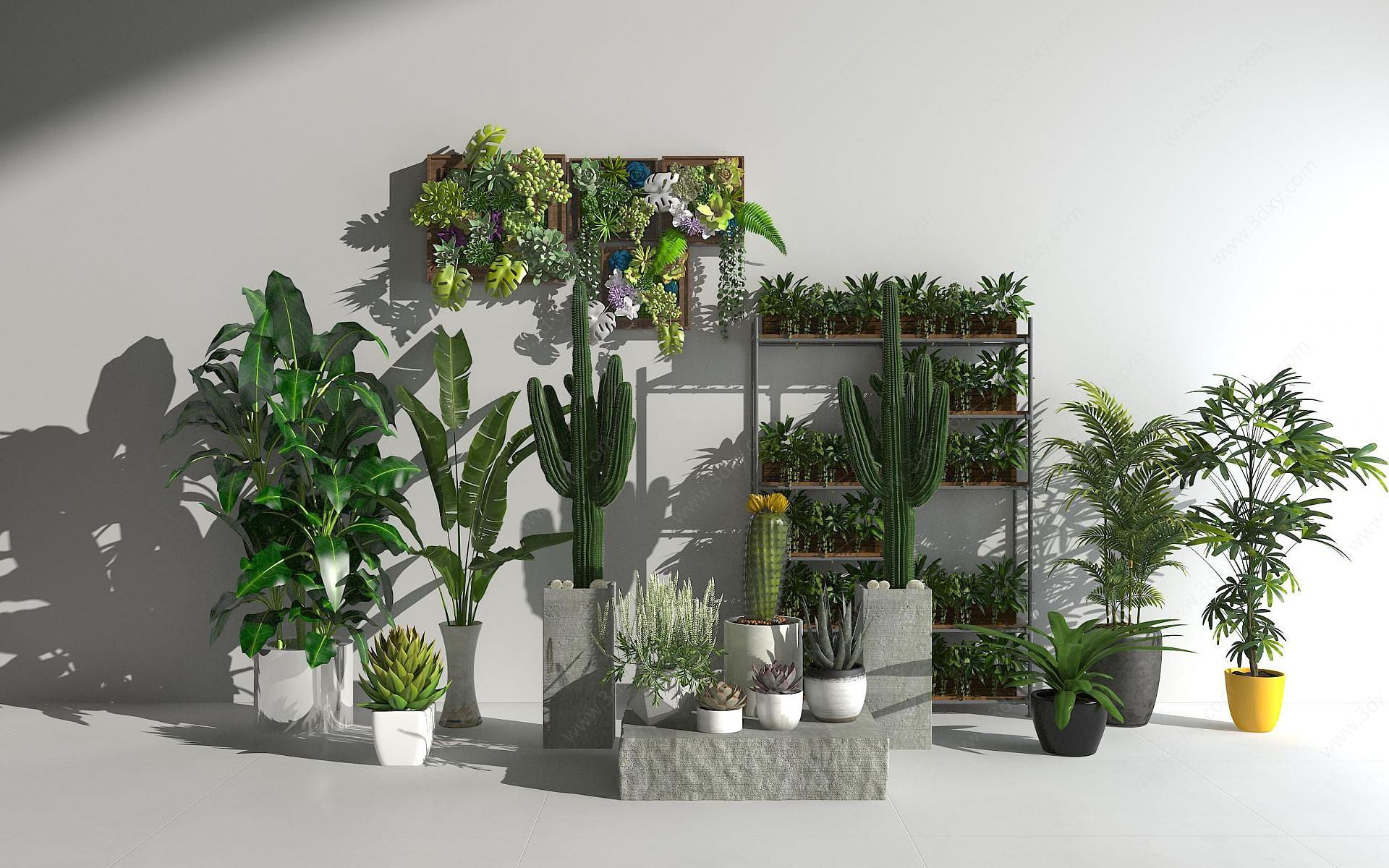 花草植物盆栽绿植3D模型