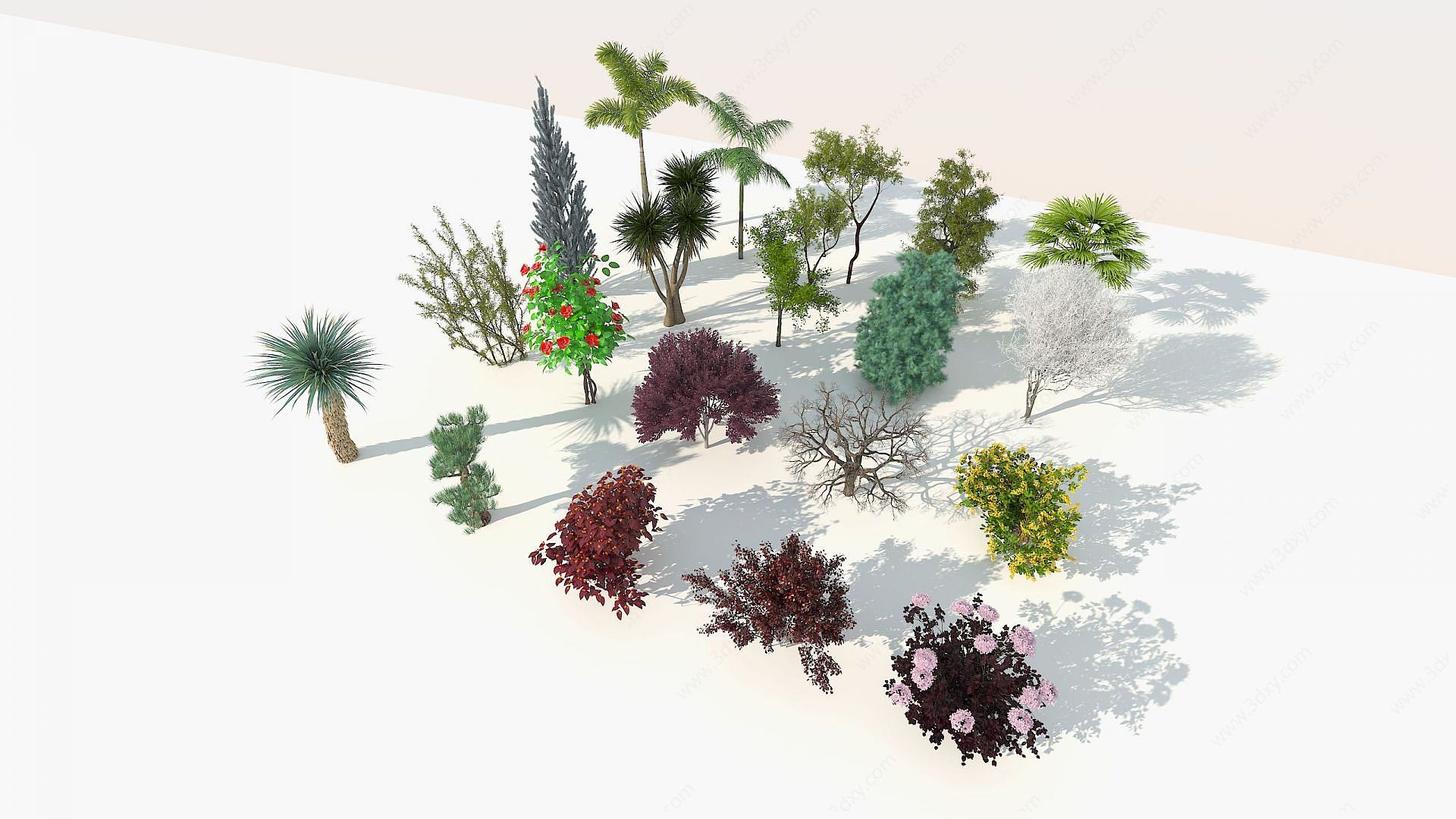树木9-双数3D模型