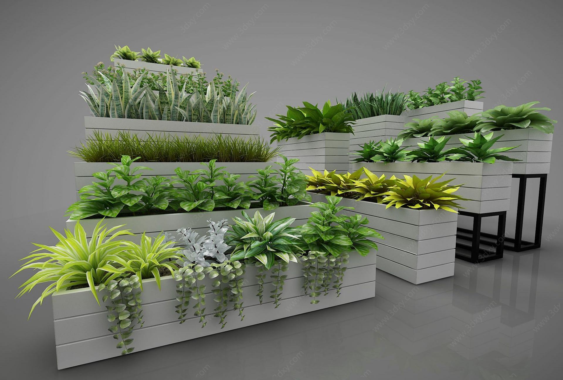 植物盆栽摆件3D模型