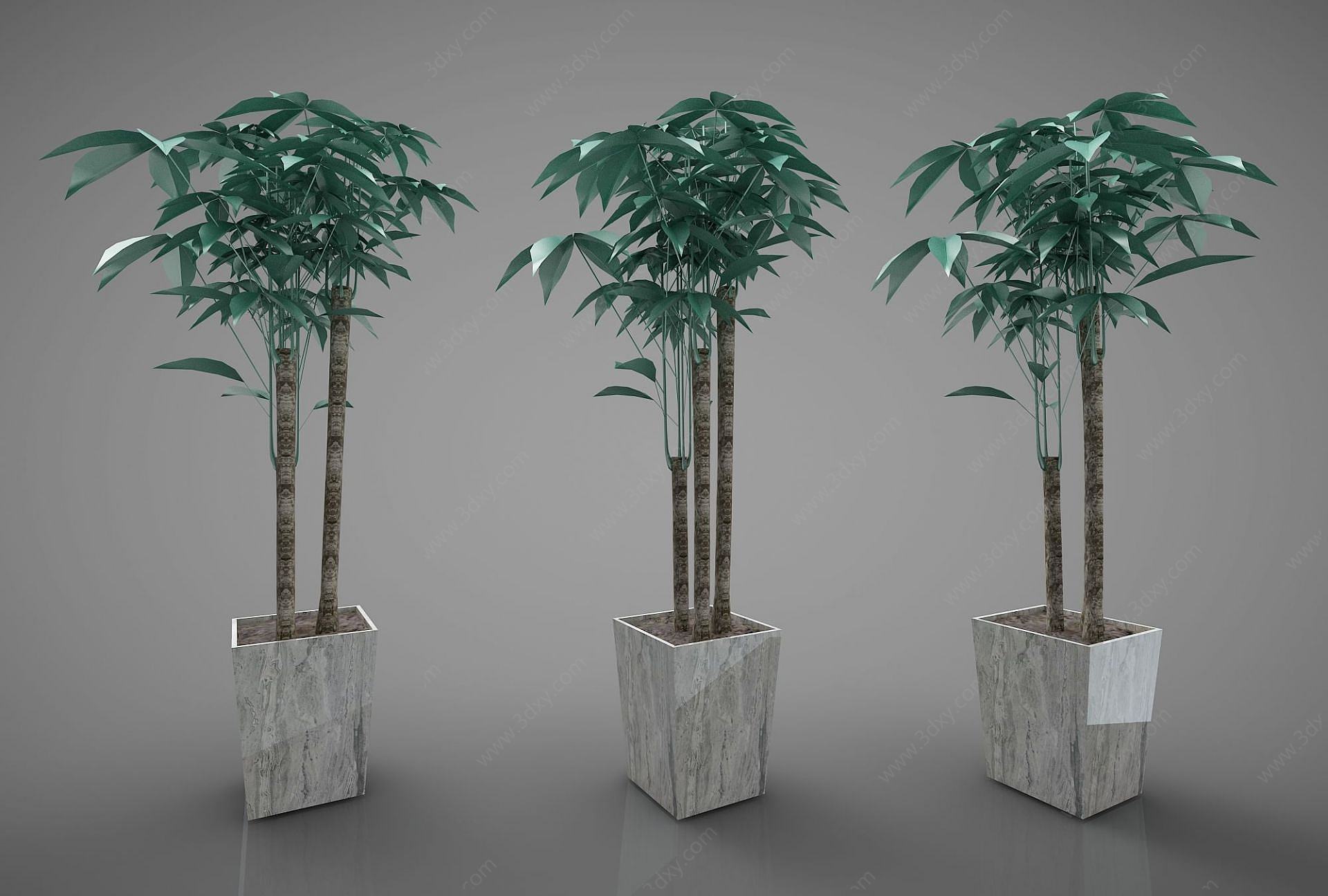 现代风格植物3D模型
