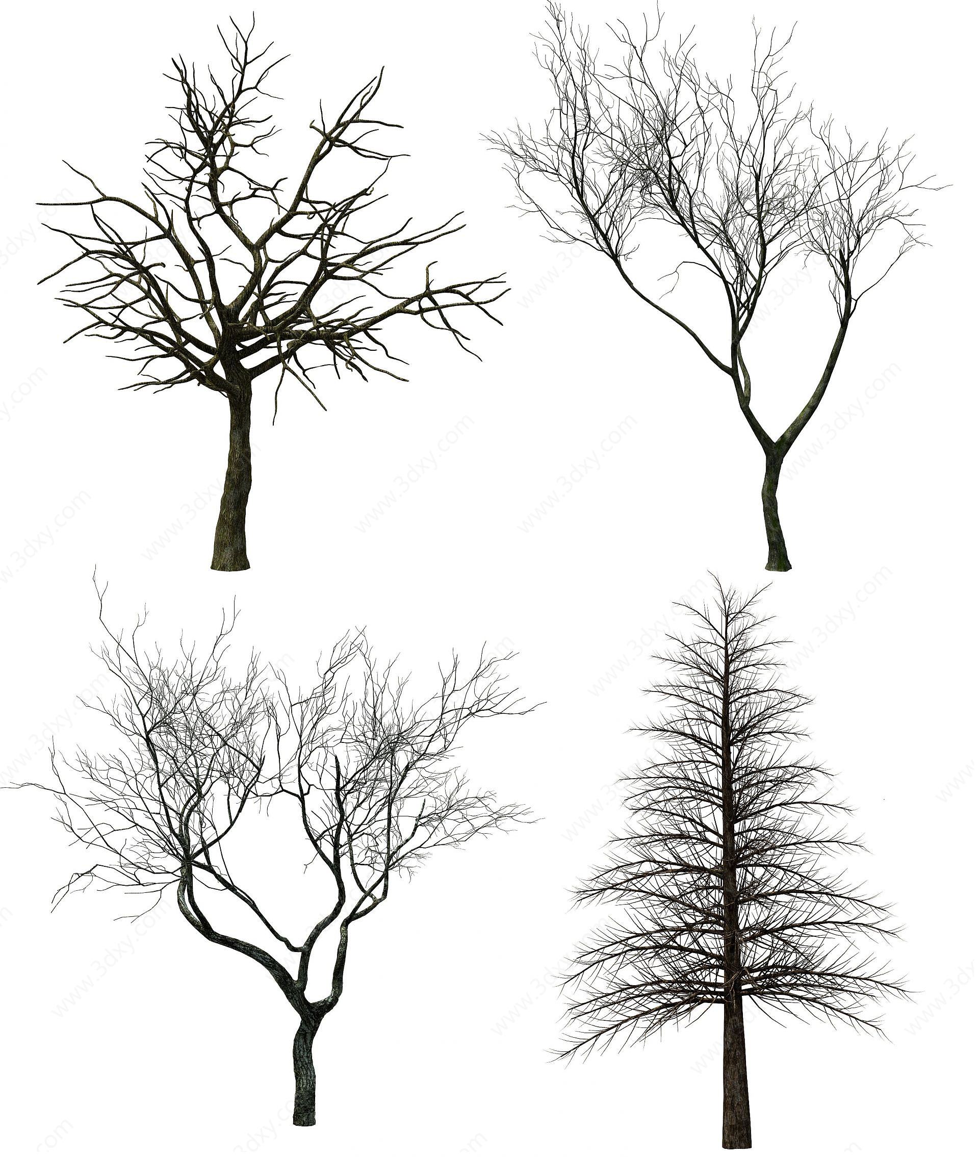 现代树木枯树3D模型