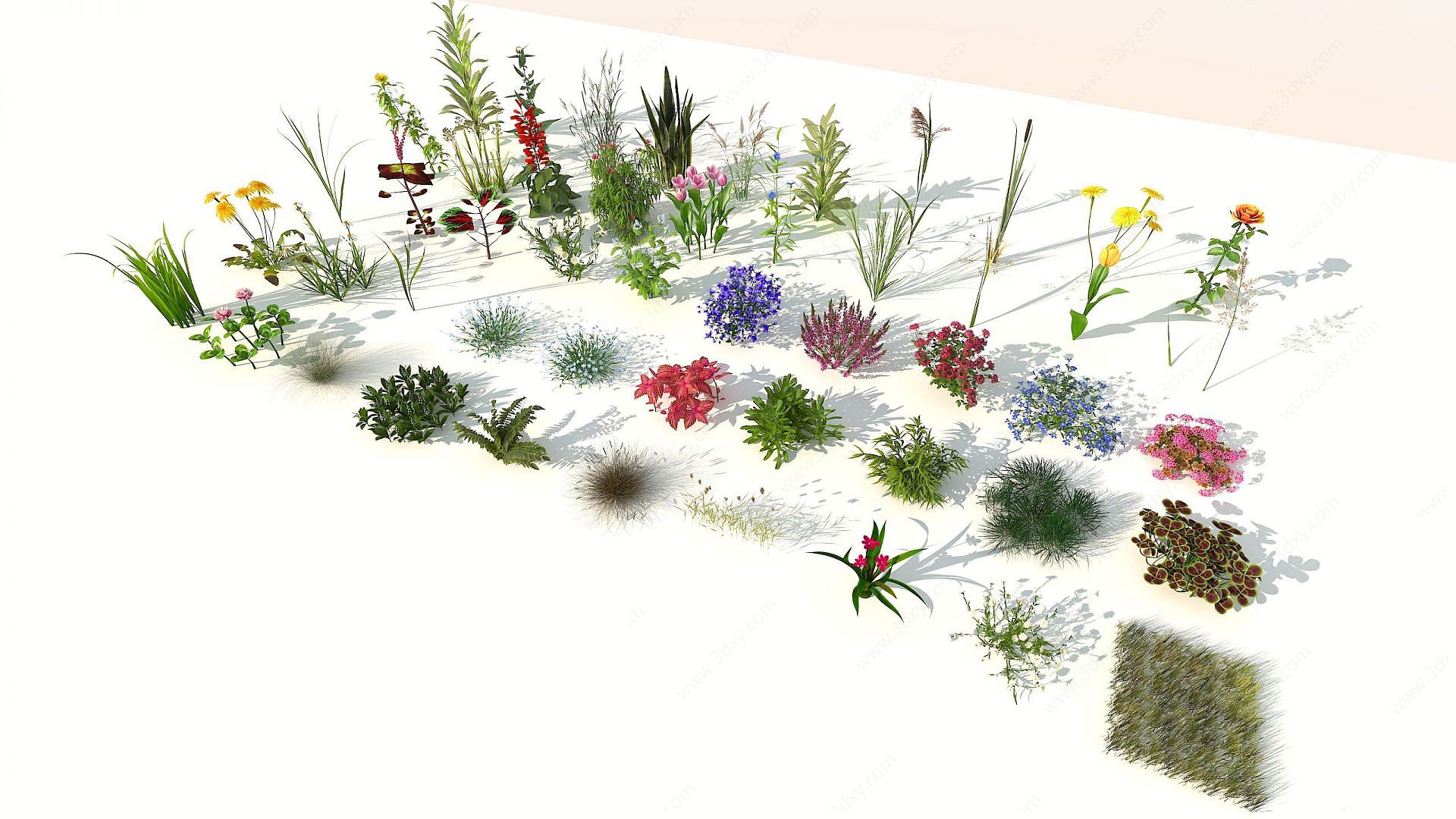 现代室外花草组合3D模型
