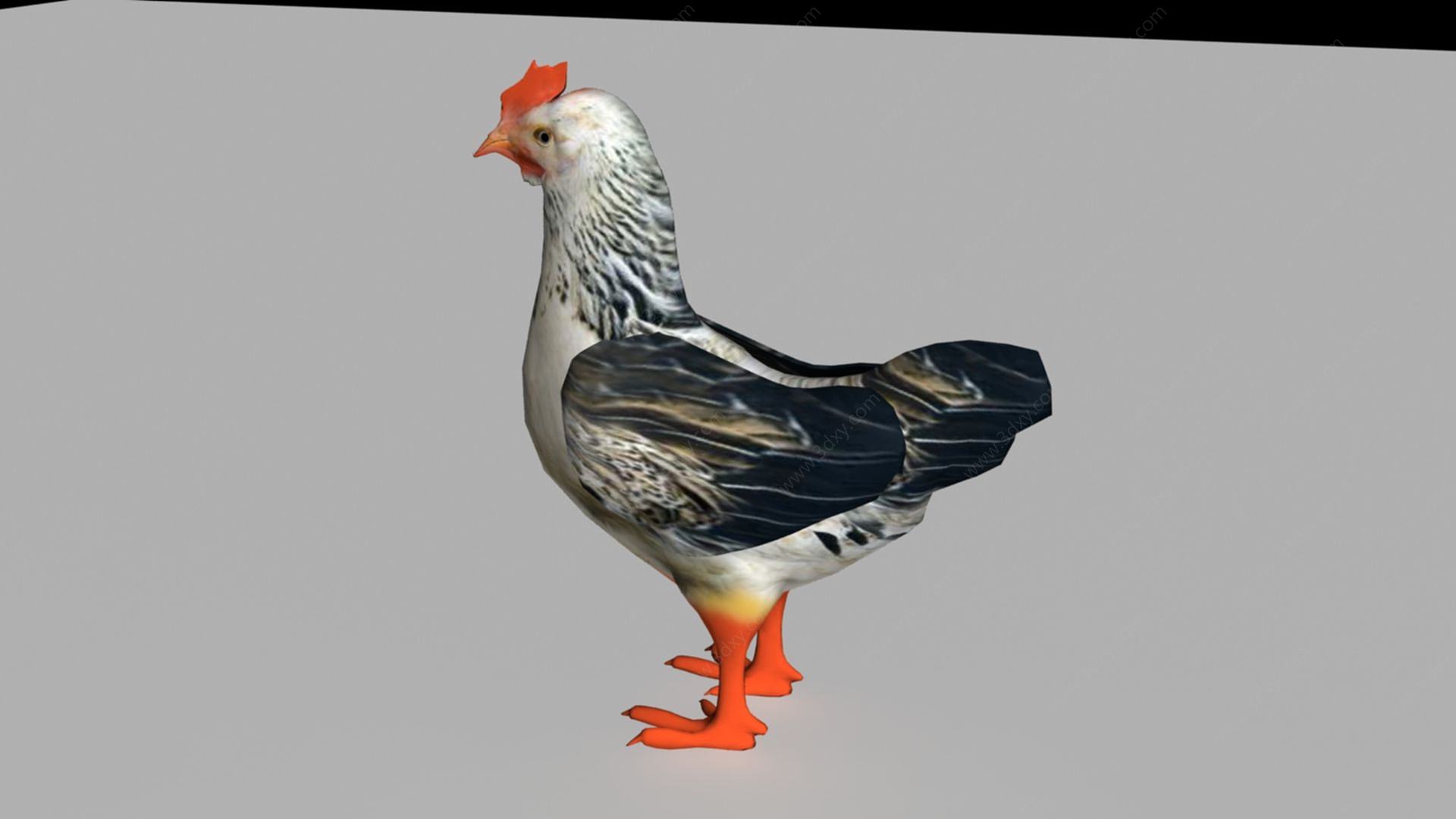 母鸡模型3D模型