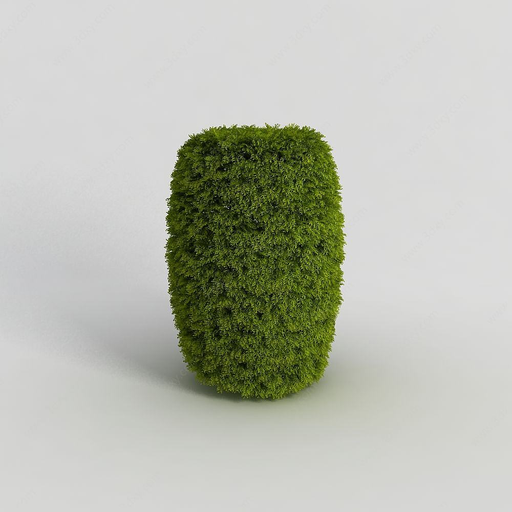 灌木3D模型