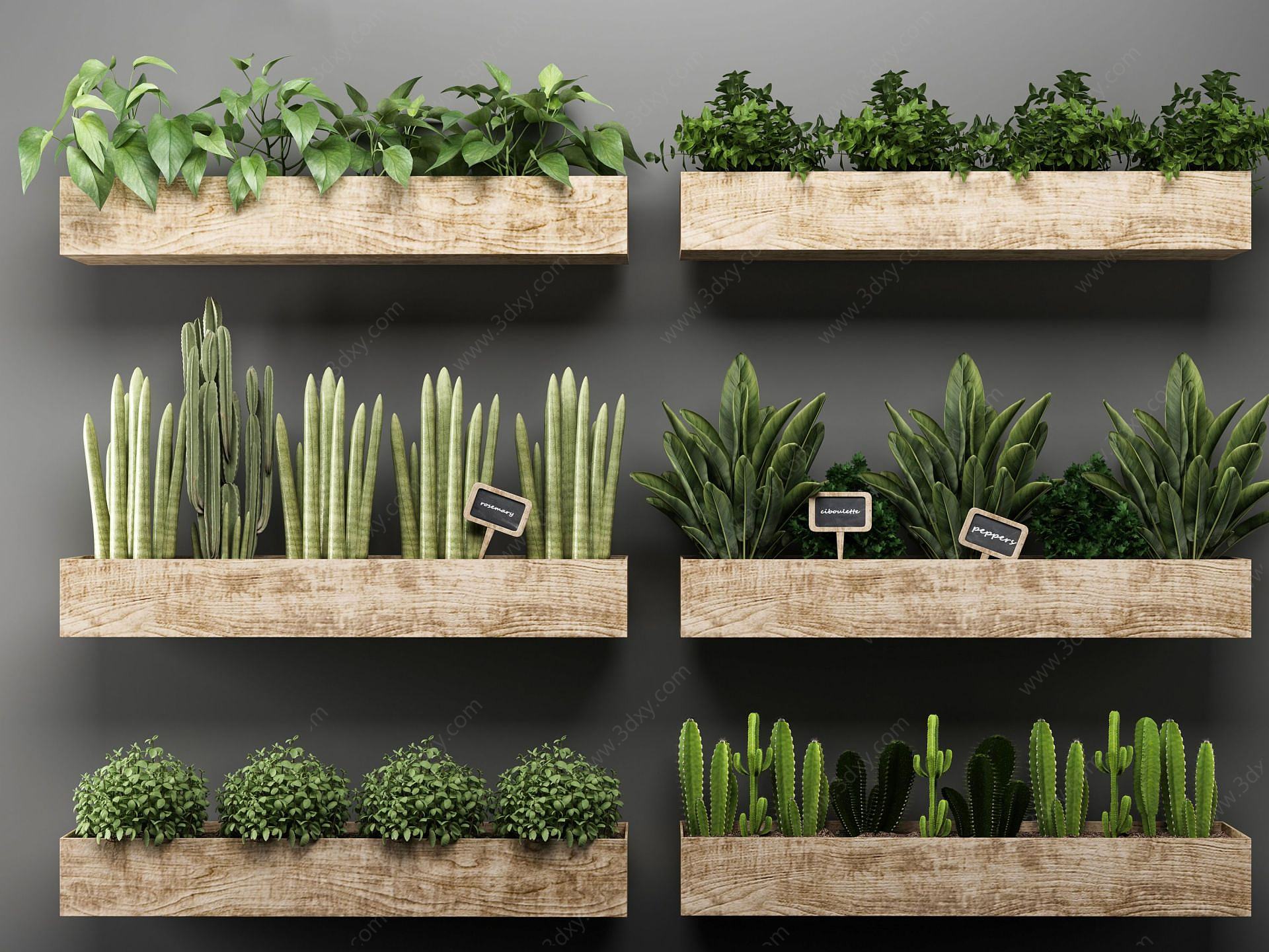 现代植物盆栽组合3D模型