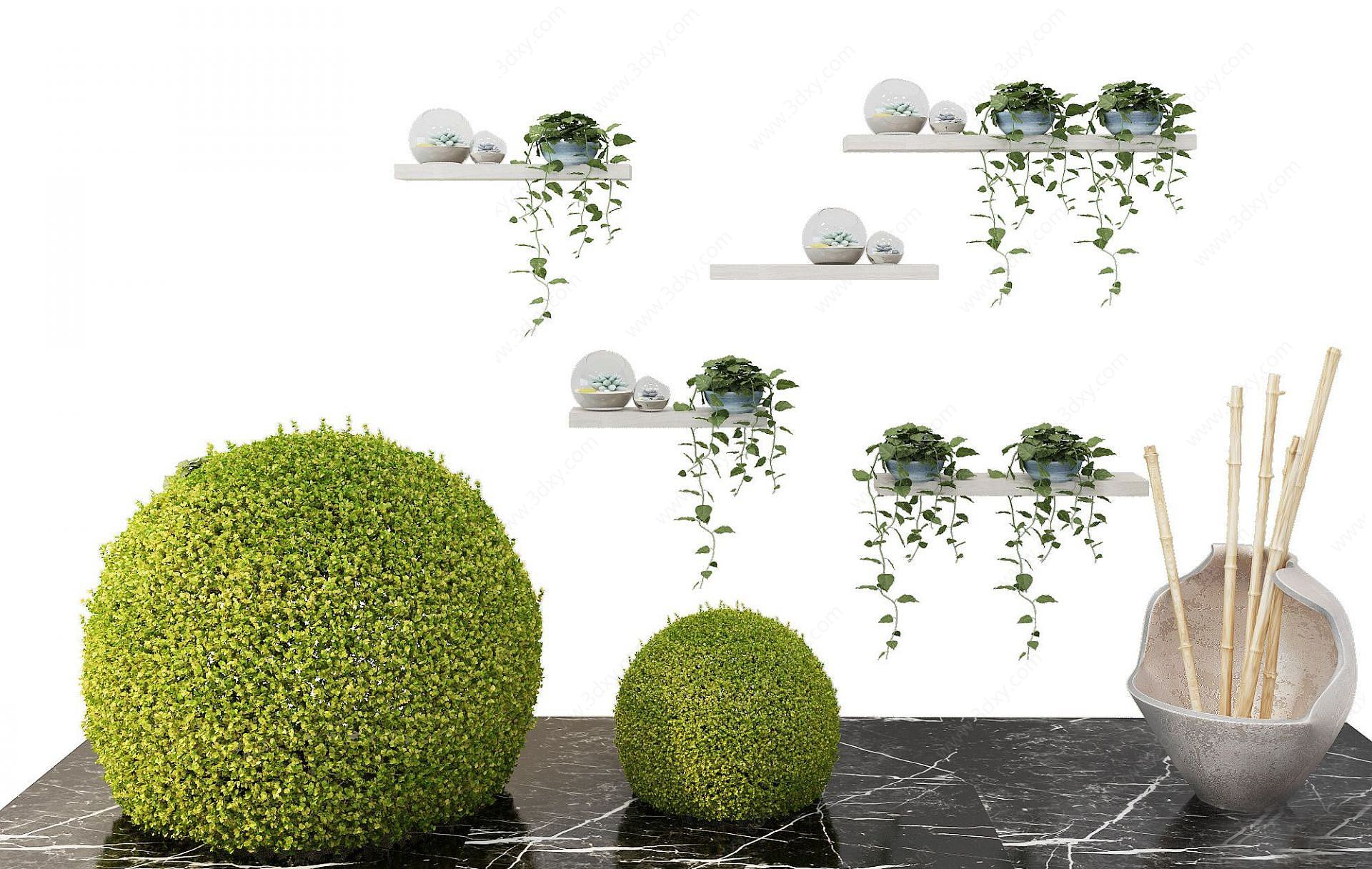 现代装饰植物吊兰3D模型