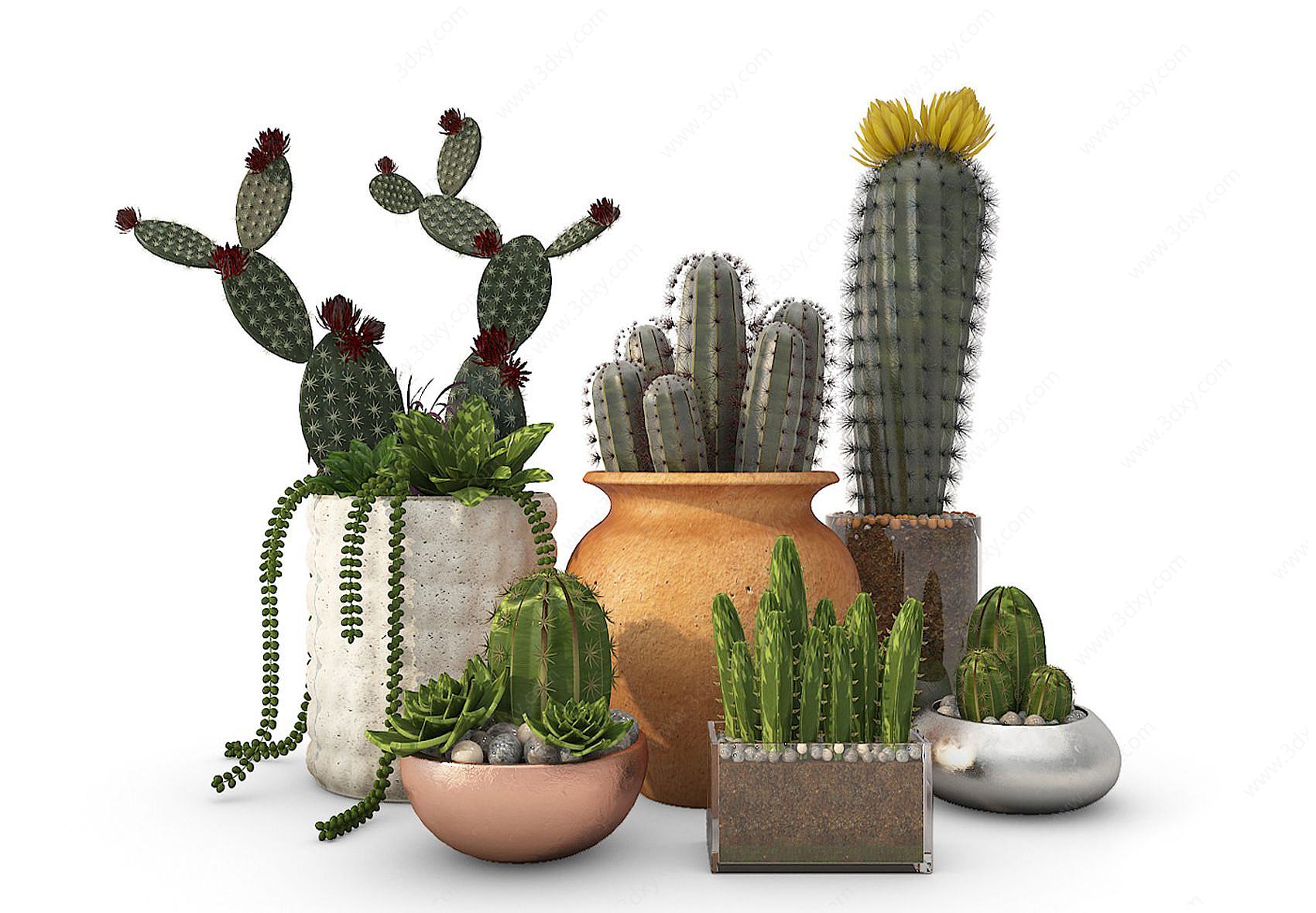 现代装饰植物仙人掌3D模型