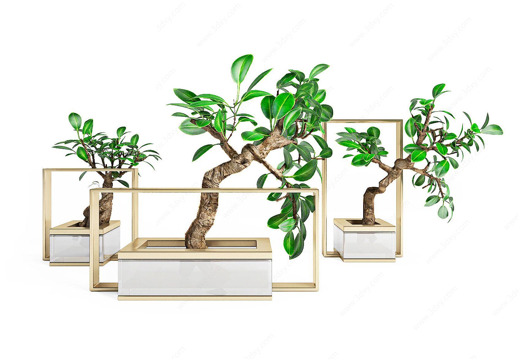现代装饰富贵树3D模型