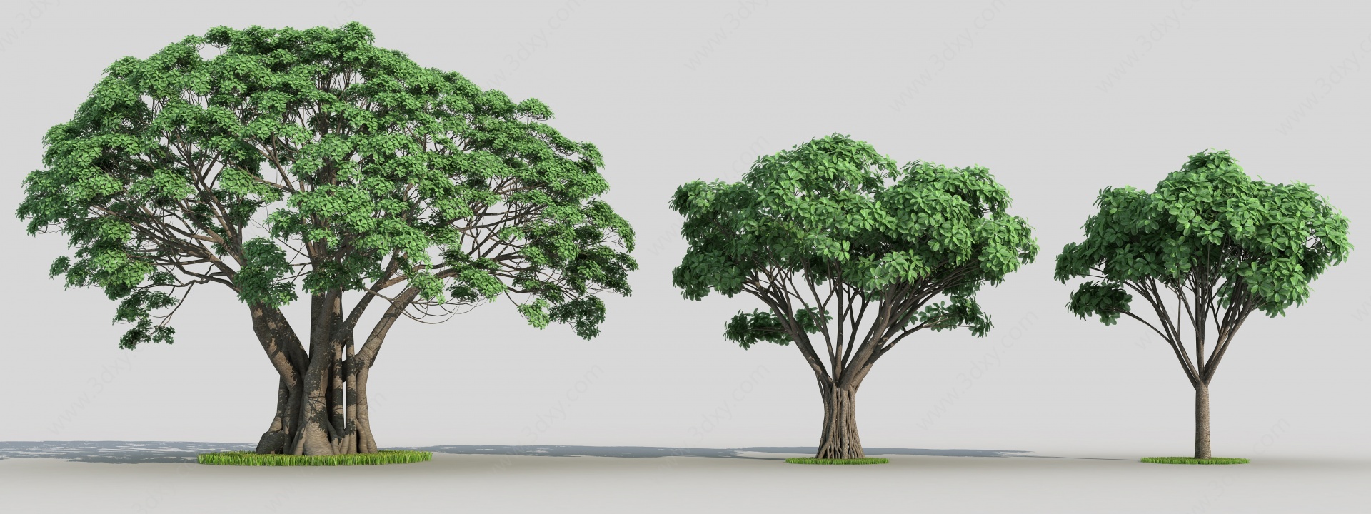 现代榕树3D模型