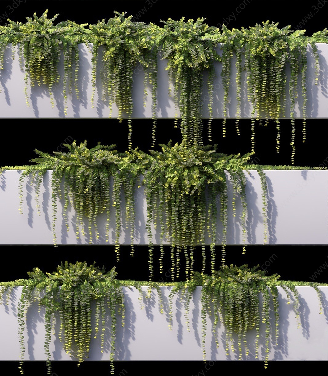 现代绿植縢蔓迷迭香3D模型