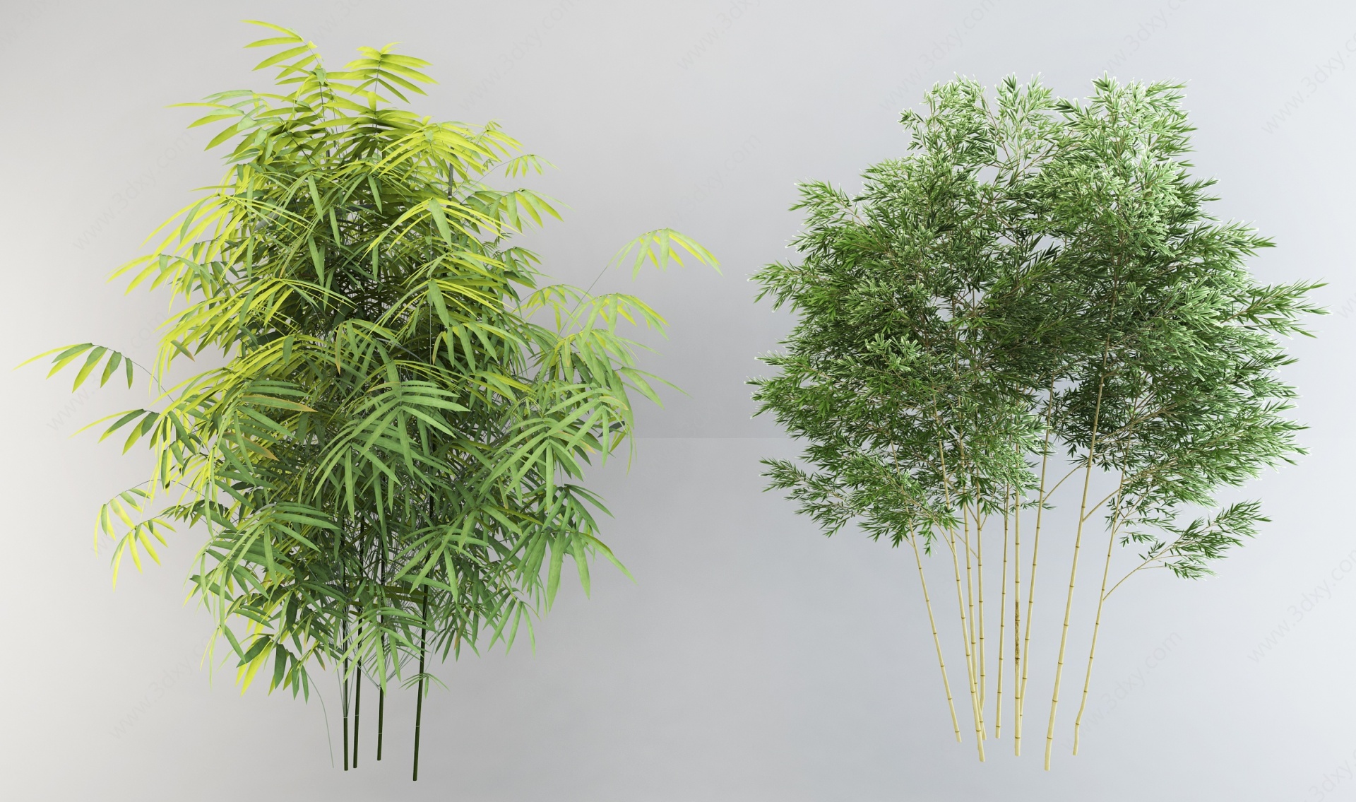 竹子植物盆栽组合3D模型