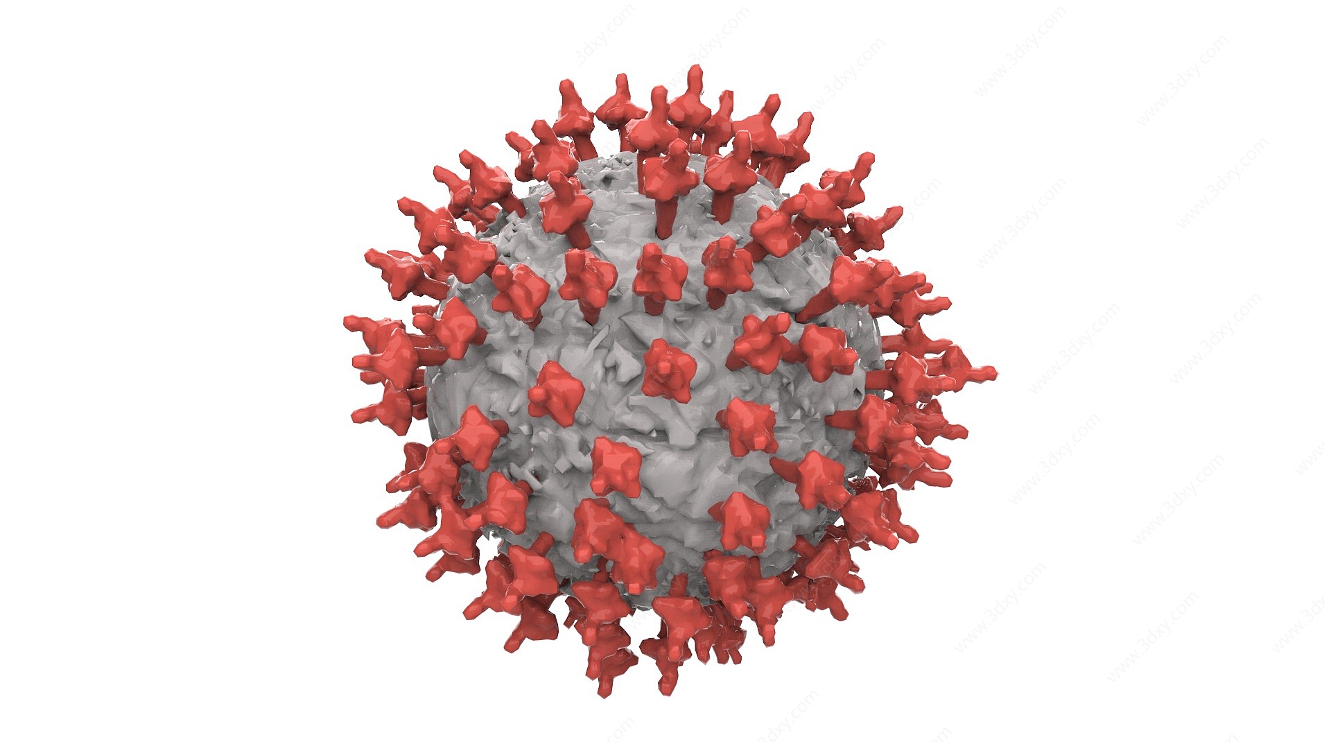 病毒3D模型