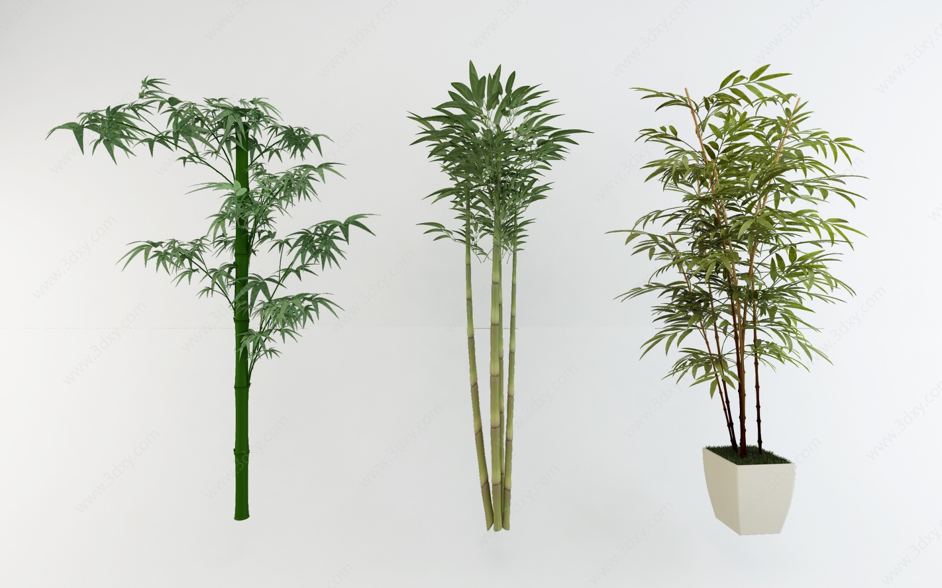 竹子植物盆栽组合3D模型