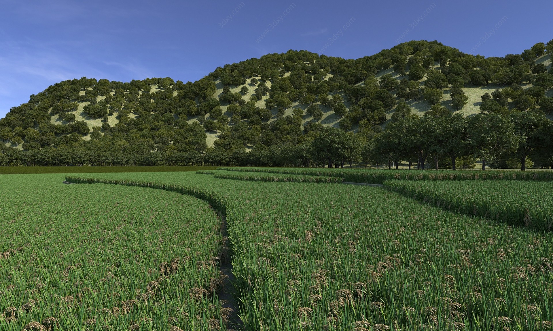 农田3D模型