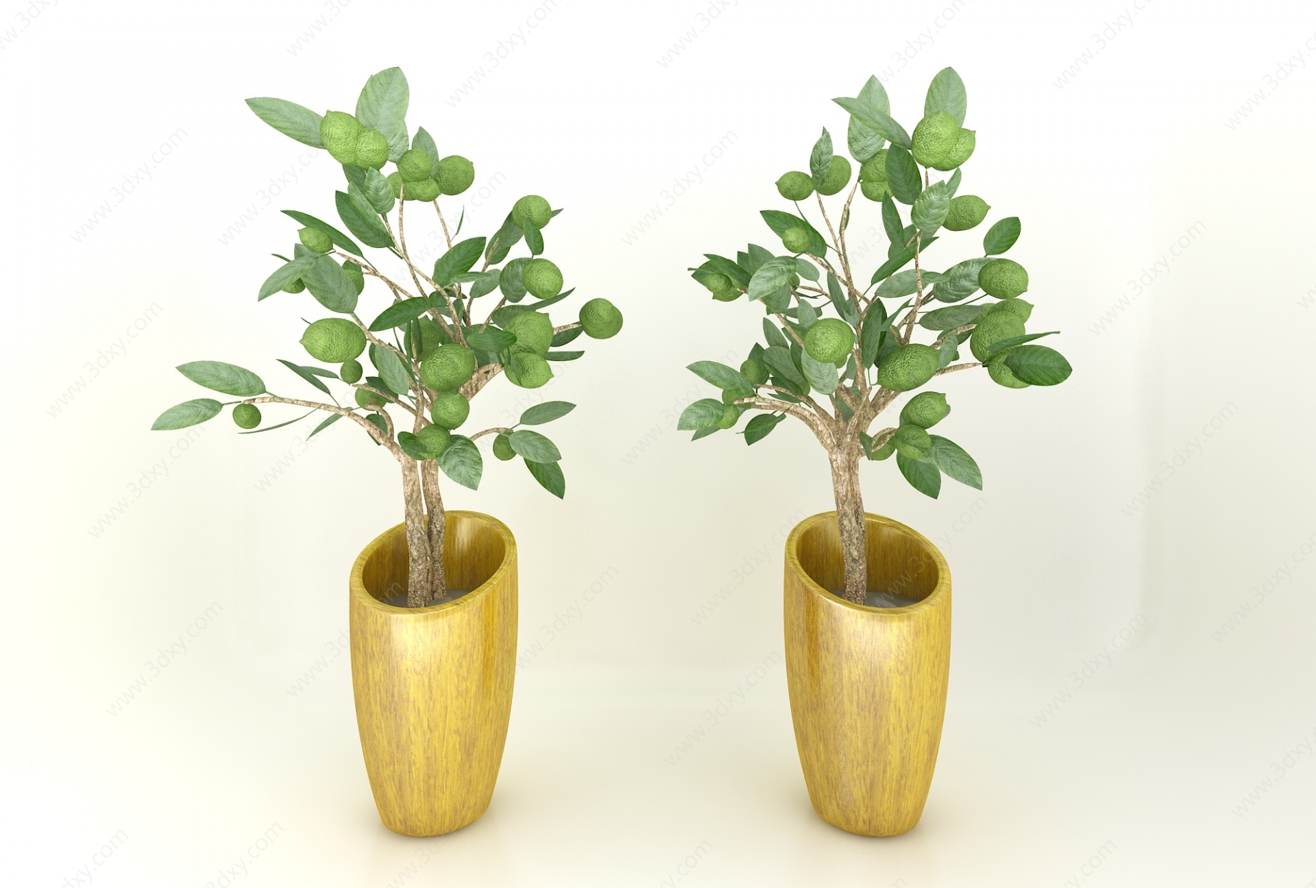 盆栽绿植3D模型